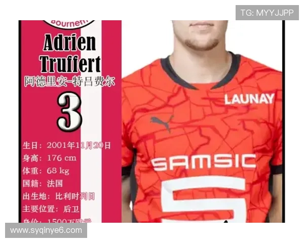 伯恩茅斯足球俱乐部历史回顾与发展历程分析