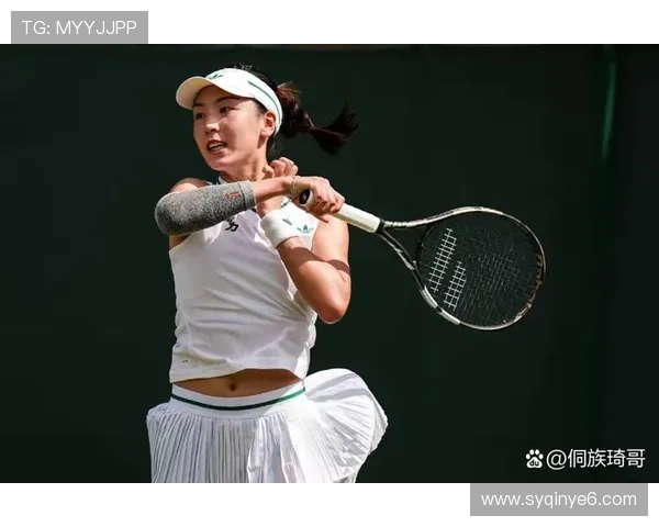 网球赛事风云再起 新星崛起挑战老将 赛季最后一战决胜谁主沉浮