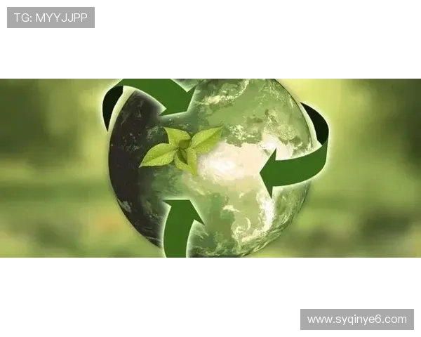 赫尔城足球俱乐部历史发展与现代转型：从英格兰地方队到英超争雄者